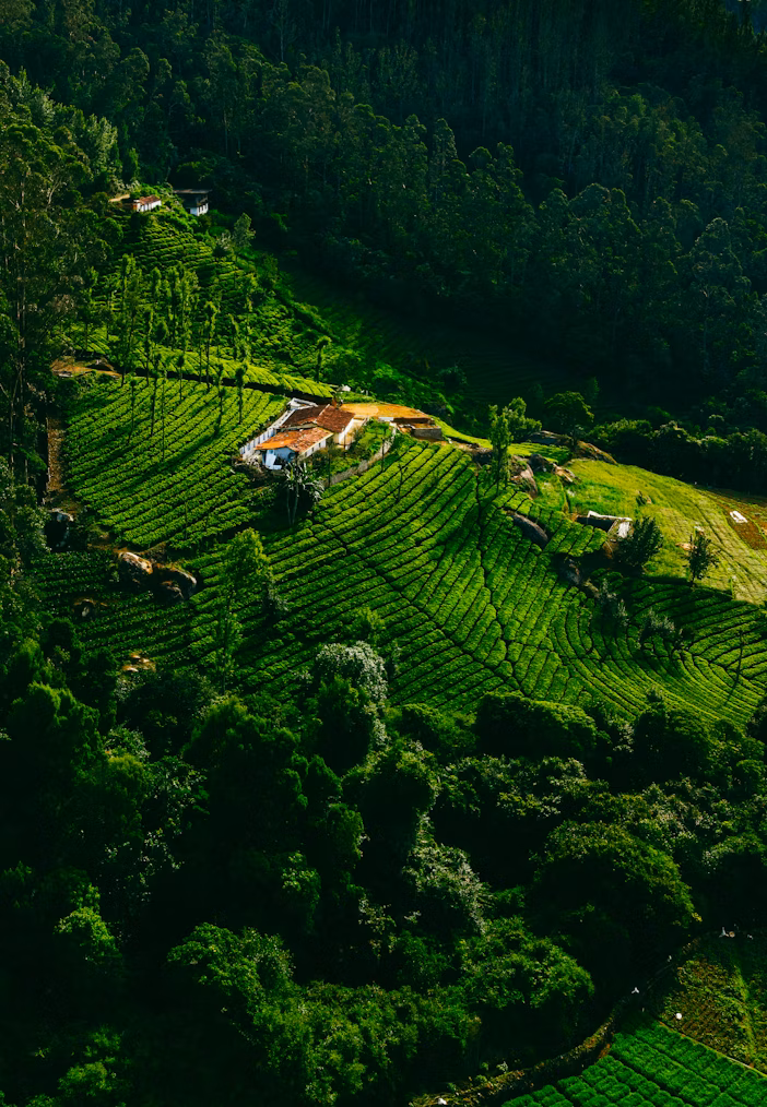 Ooty Hill Station